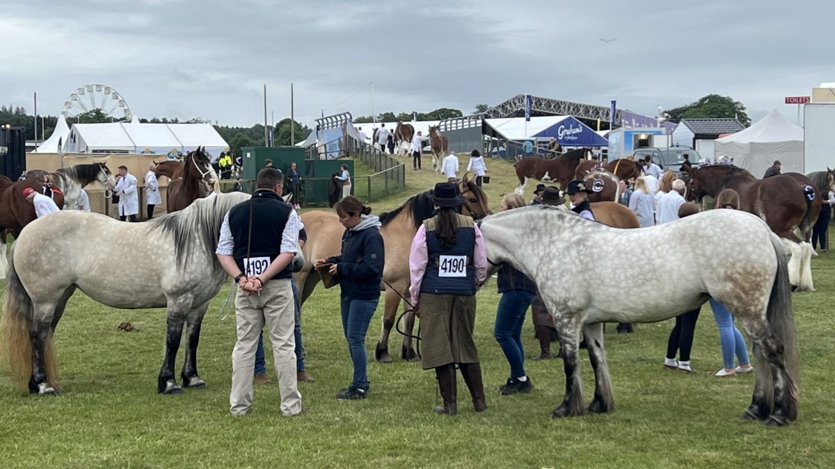 SHOW WEEK: Cottage Cheese Up, Malt Whisky Down, and AI is all about ‘workforce reshaping’
