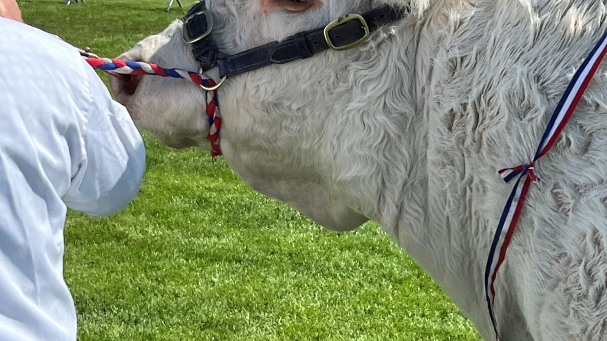 Labour’s Scottish Secretary enters lion’s den at Highland show