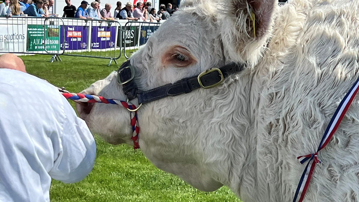 THE DEAL WEEK: Food & Drink fight for investors’ love while energy firms remain in vogue