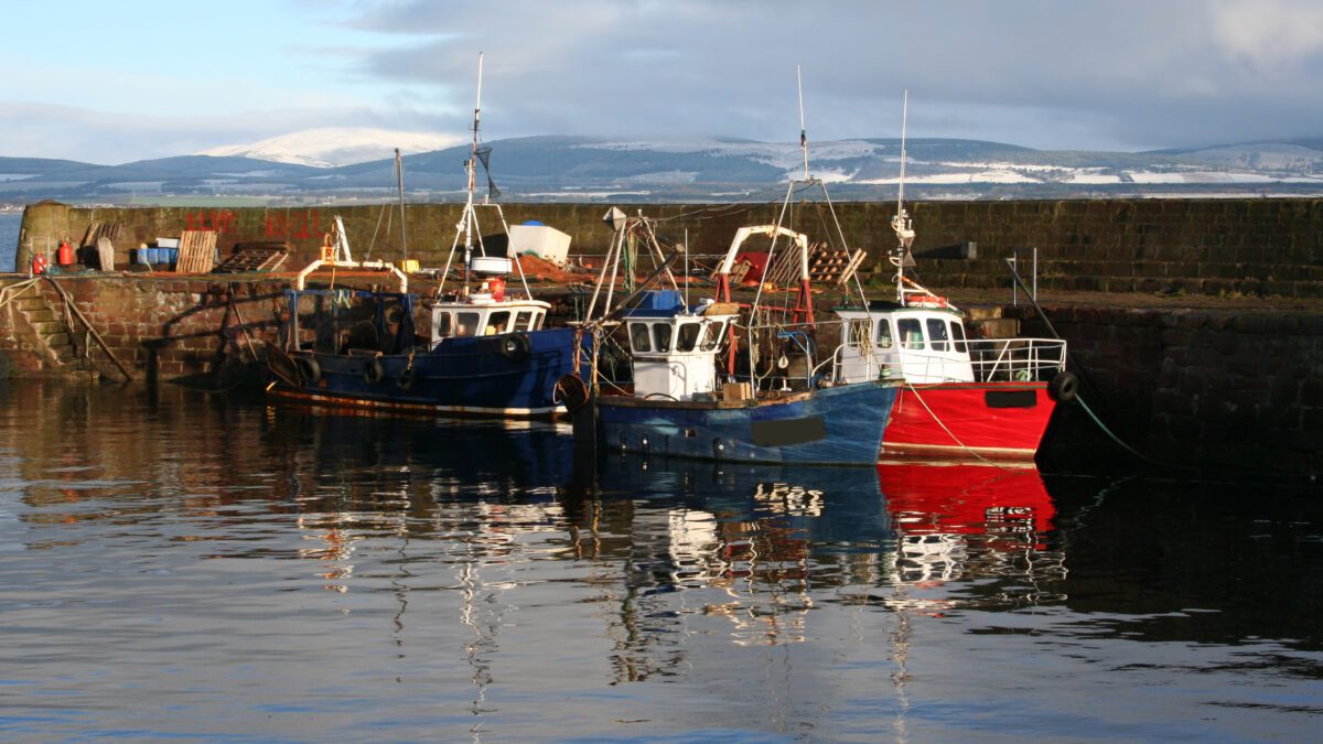 Why seafood is becoming climate ‘smart’ comestible