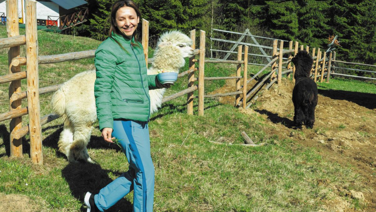 Rural diversification brings its own unique challenges