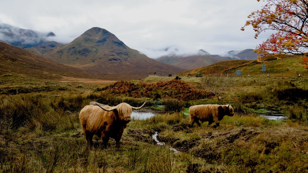 Storm clouds gathering as Scotland’s rural economy is under pressure