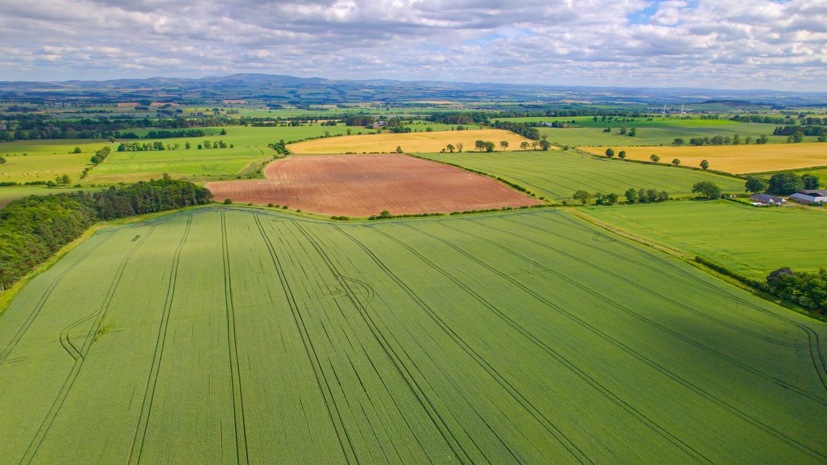 Why uncertainty is the biggest challenge for businesses in Scotland’s rural sector gathering at the Royal Highland Show